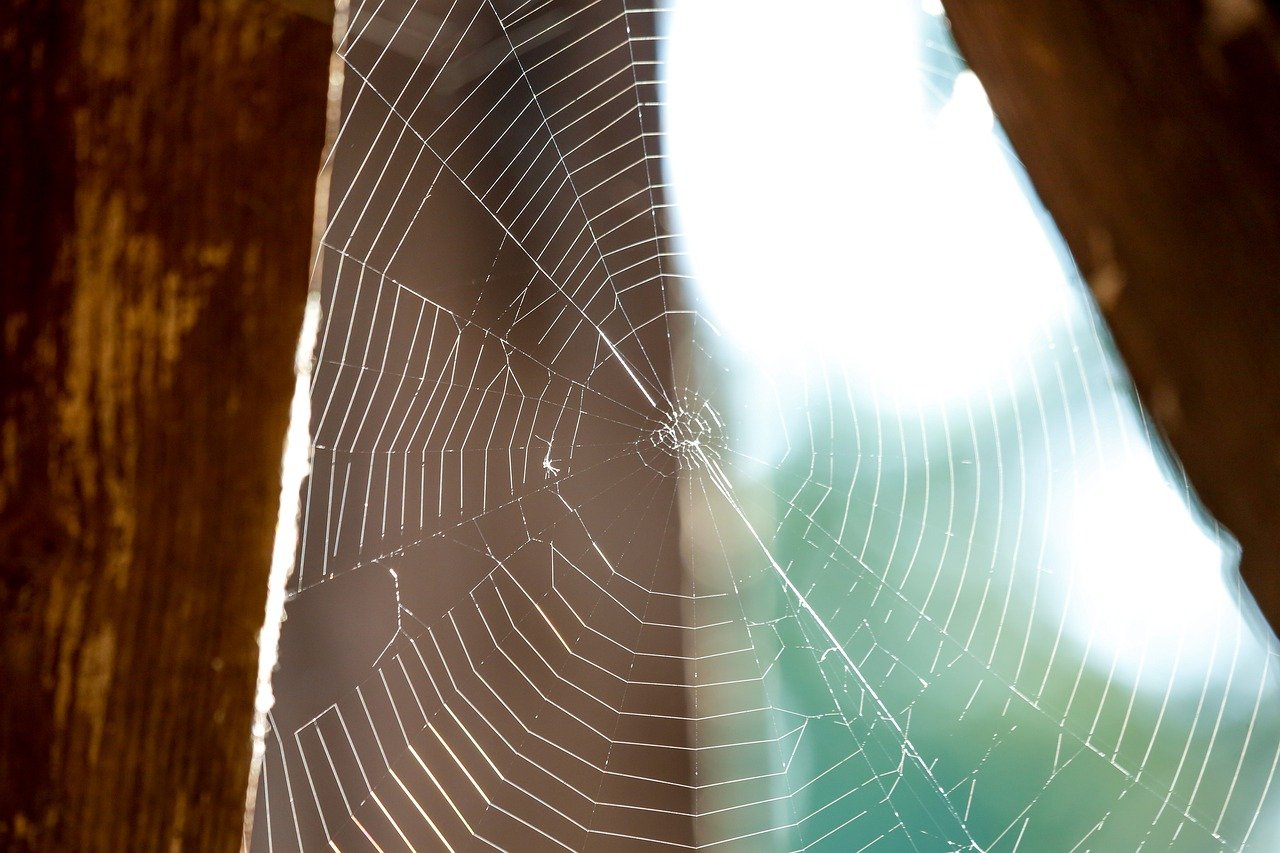 건설 근로자에게 꼭 필요한 퇴직공제금 정보와 신청 방법