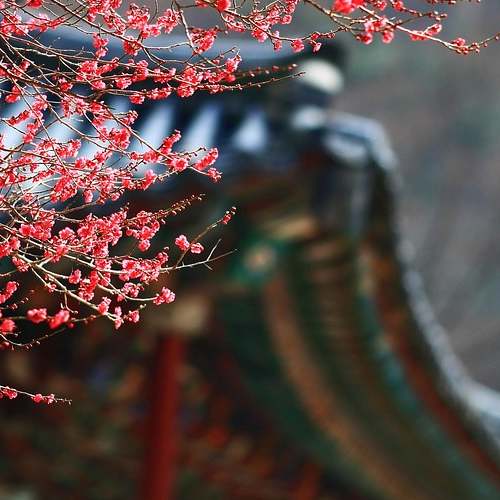 역대 대통령 선거의 사전투표율과 투표율, 그리고 당선인의 관계를 살펴보아요