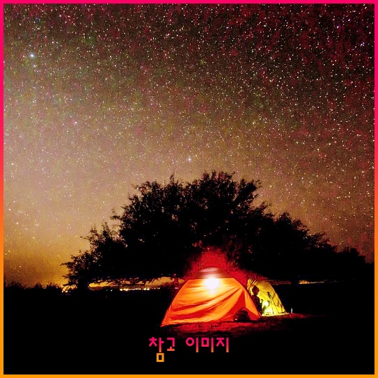 기초생활수급자, 당신이 알아야 할 자격 요건과 현실적인 혜택