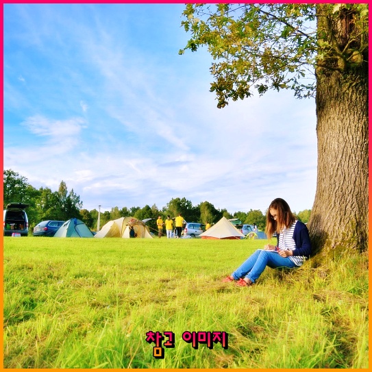 전기요금 감면 혜택: 다자녀 가구와 소상공인, 장애인을 위한 큰 지원