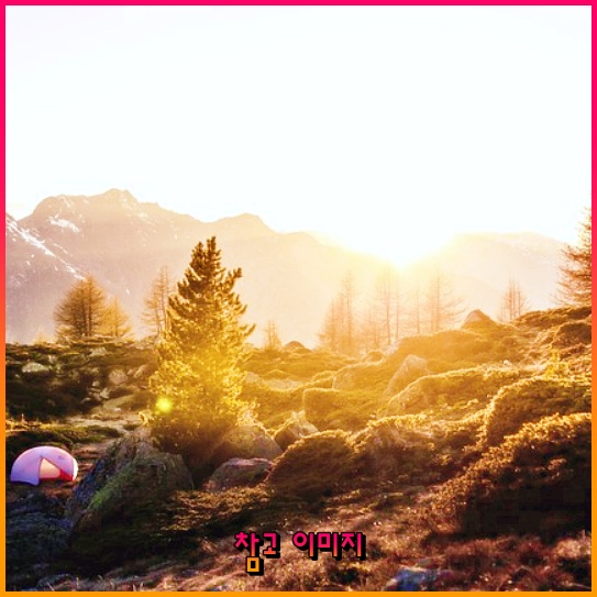 건강을 위한 첫걸음, 의료급여 수급권자 신청 방법 안내