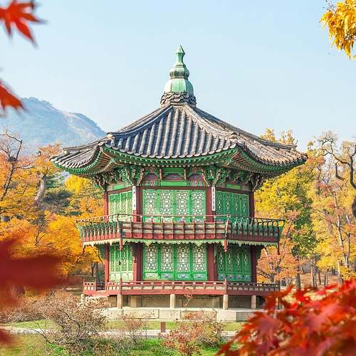 개인사업자라면 놓칠 수 없는, 노란우산 가입 경험 보고하기