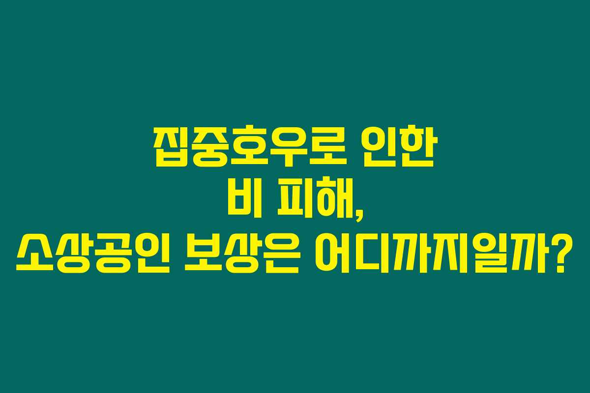 집중호우로 인한 비 피해, 소상공인 보상은 어디까지일까? 집중호우로 인한 비 피해, 소상공인 보상은 어디까지일까?