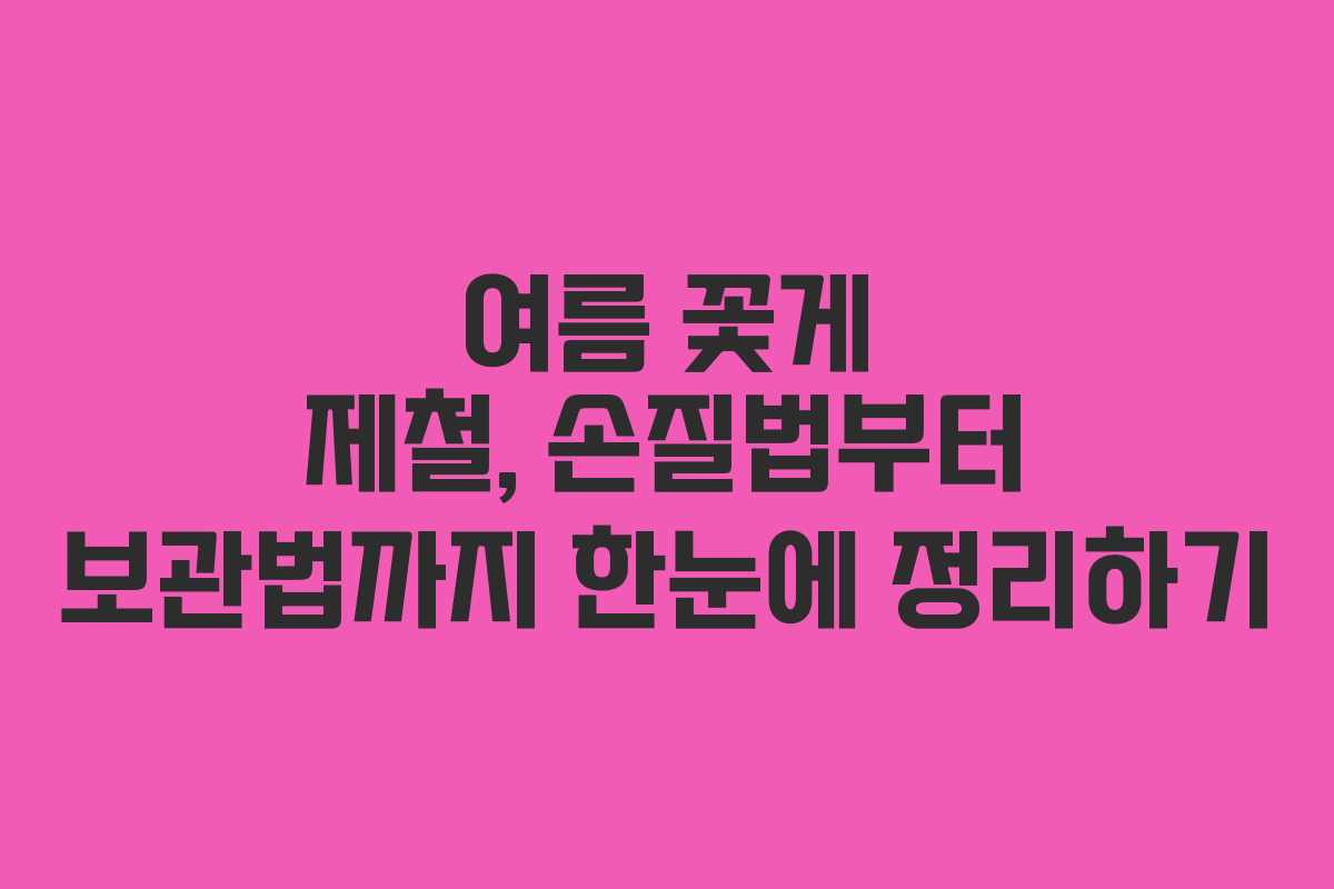여름 꽃게 제철, 손질법부터 보관법까지 한눈에 정리하기