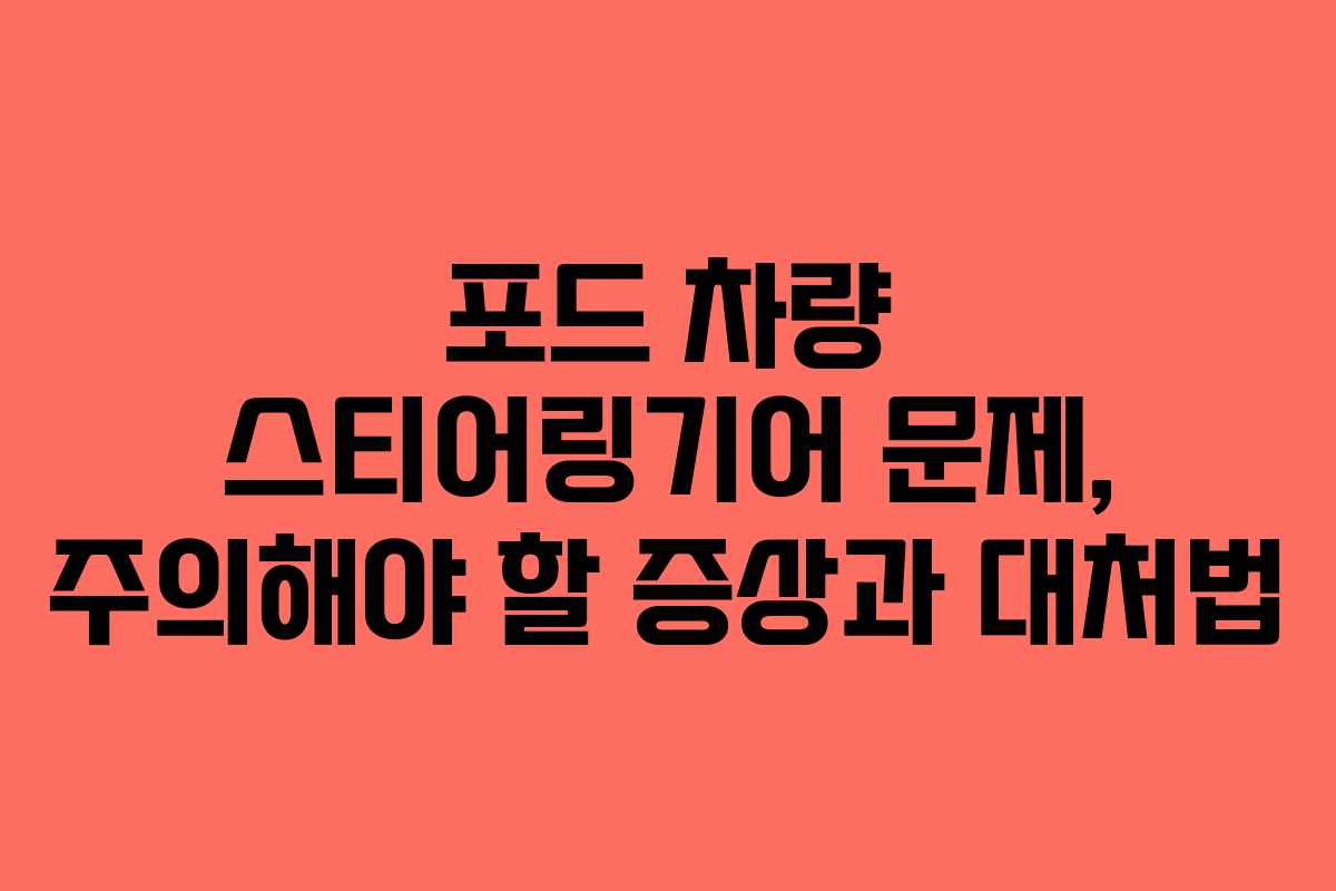 포드 차량 스티어링기어 문제, 주의해야 할 증상과 대처법