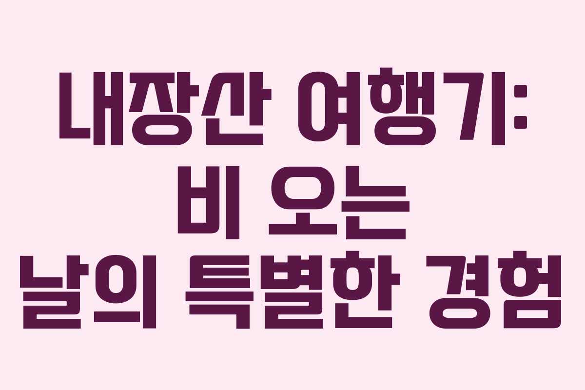 내장산 여행기: 비 오는 날의 특별한 경험