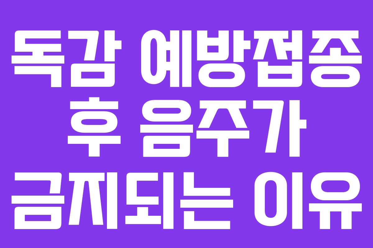 독감 예방접종 후 음주가 금지되는 이유