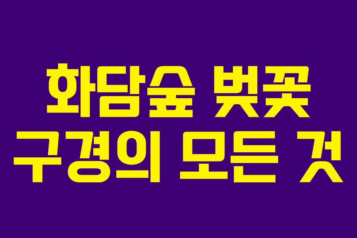 화담숲 벚꽃 구경의 모든 것