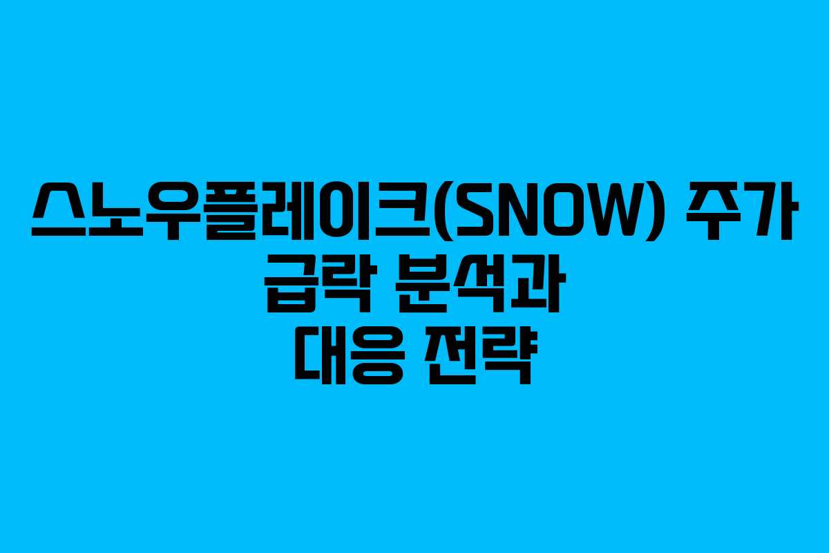 스노우플레이크(SNOW) 주가 급락 분석과 대응 전략
