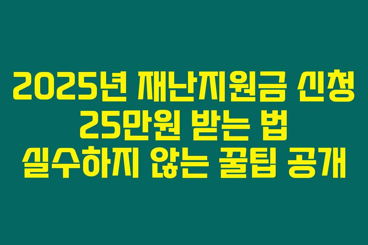 2025년 재난지원금 신청 25만원 받는 법 실수하지 않는 꿀팁 공개