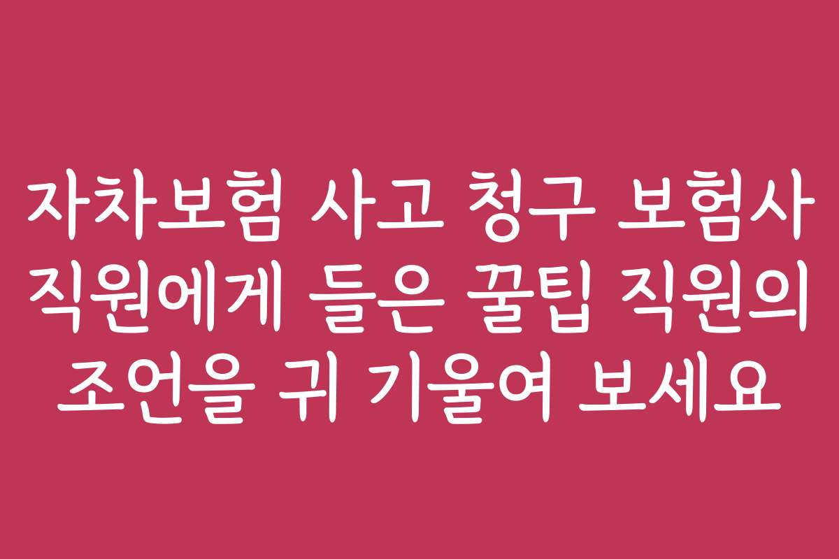 자차보험 사고 청구 보험사 직원에게 들은 꿀팁 직원의 조언을 귀 기울여 보세요