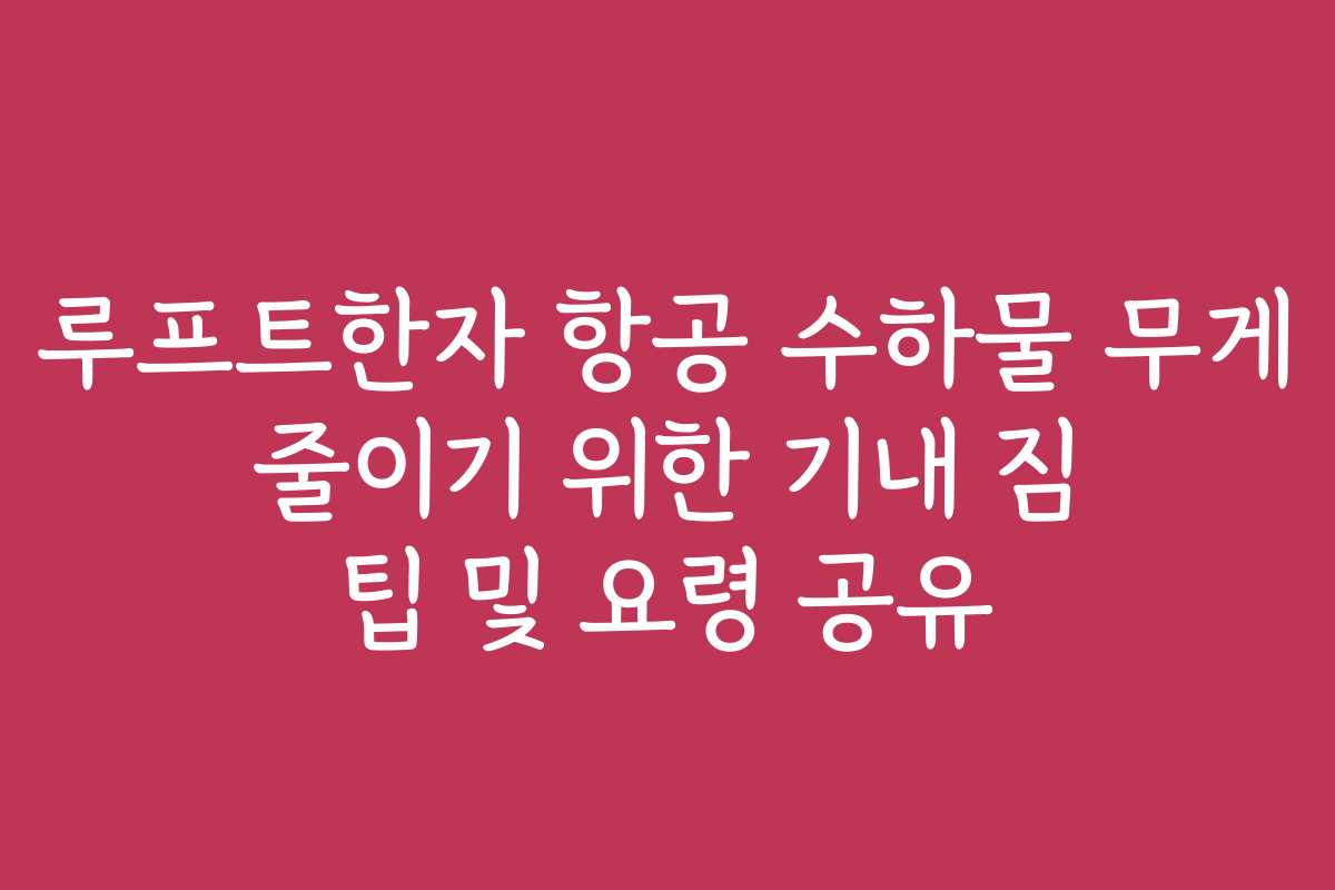 루프트한자 항공 수하물 무게 줄이기 위한 기내 짐 팁 및 요령 공유