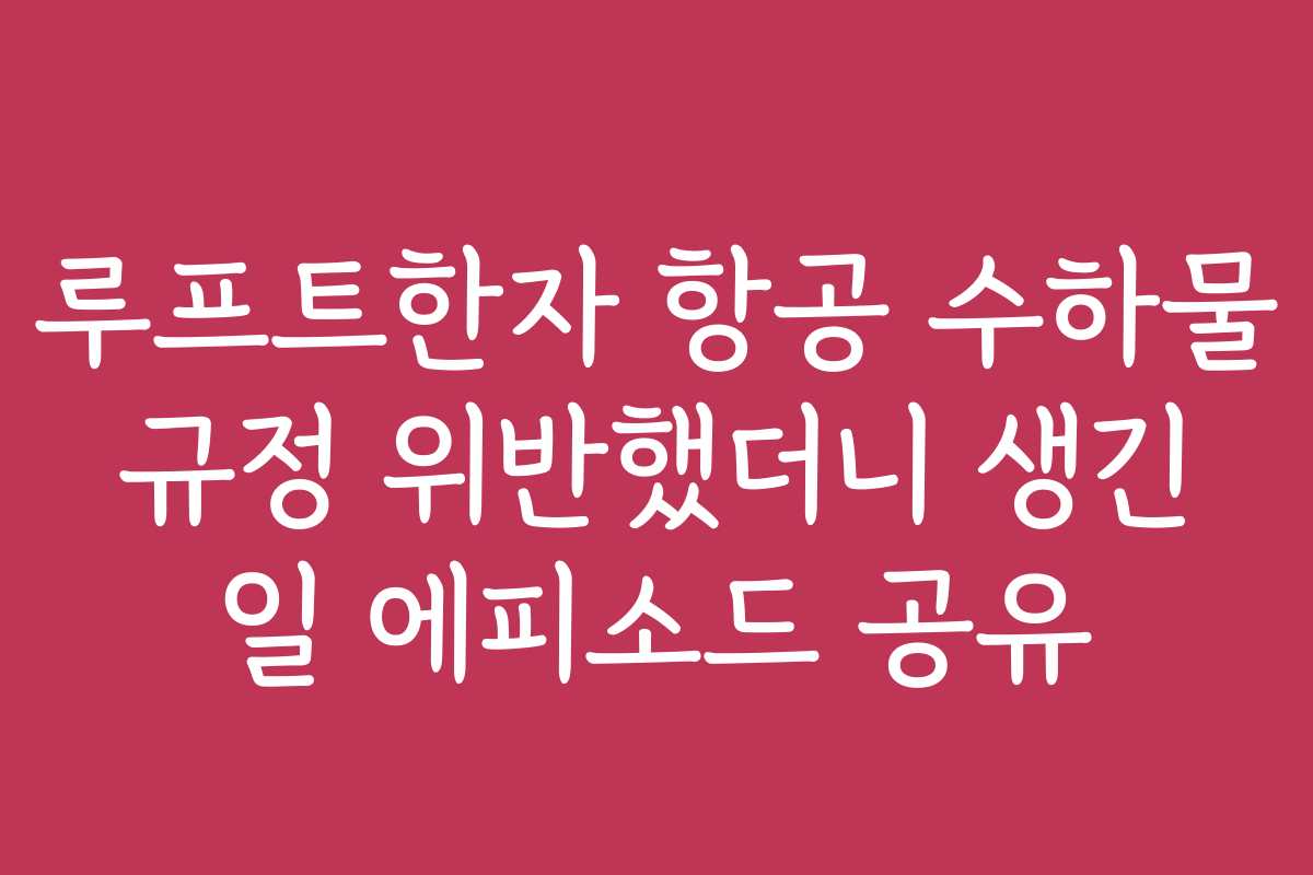 루프트한자 항공 수하물 규정 위반했더니 생긴 일 에피소드 공유