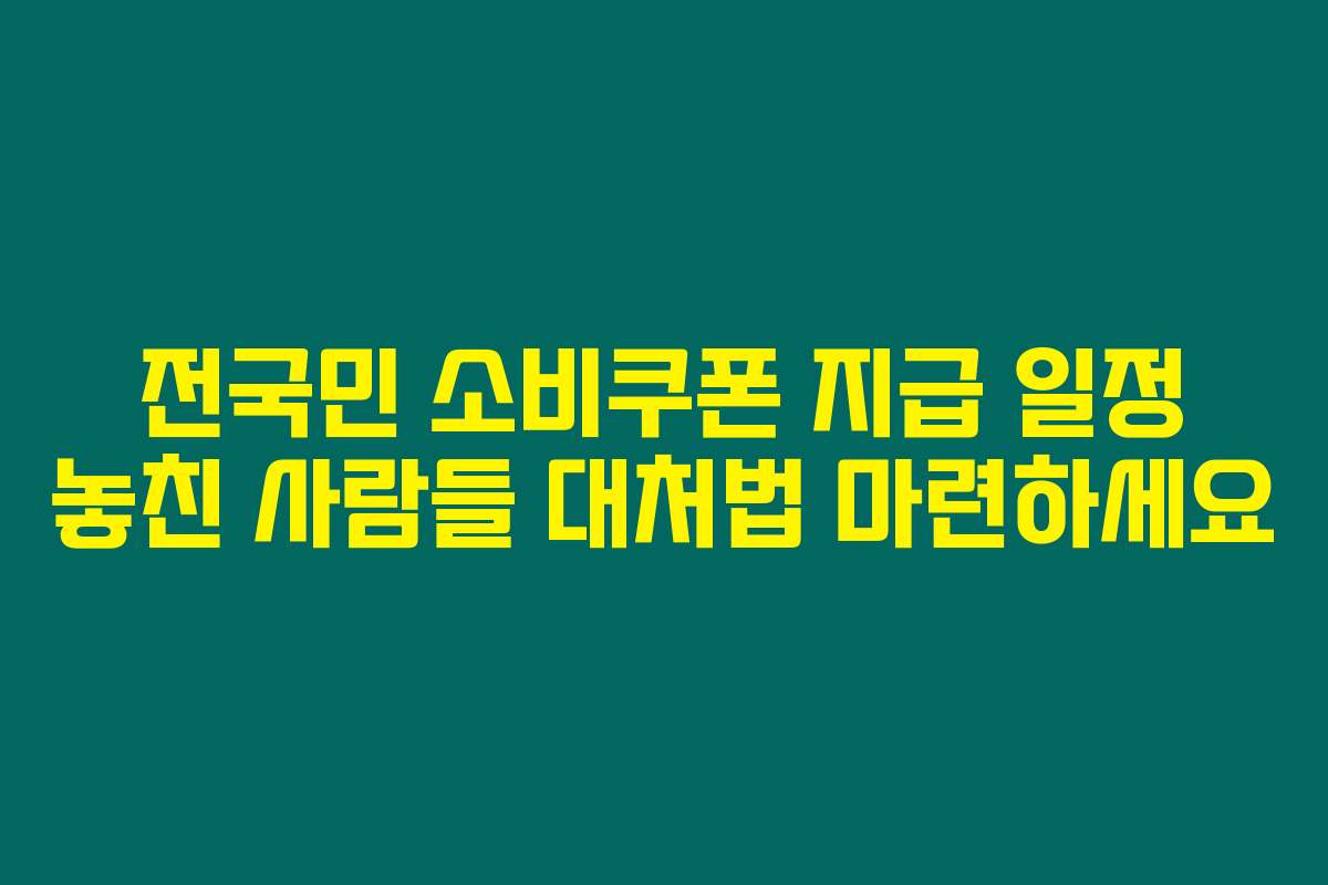 전국민 소비쿠폰 지급 일정 놓친 사람들 대처법 마련하세요