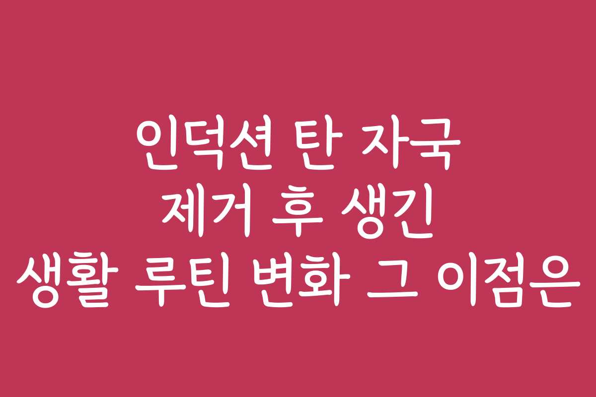 인덕션 탄 자국 제거 후 생긴 생활 루틴 변화 그 이점은