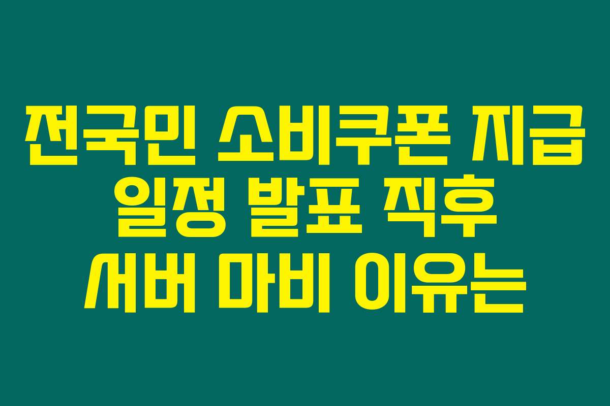 전국민 소비쿠폰 지급 일정 발표 직후 서버 마비 이유는