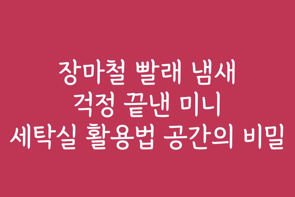 장마철 빨래 냄새 걱정 끝낸 미니 세탁실 활용법 공간의 비밀