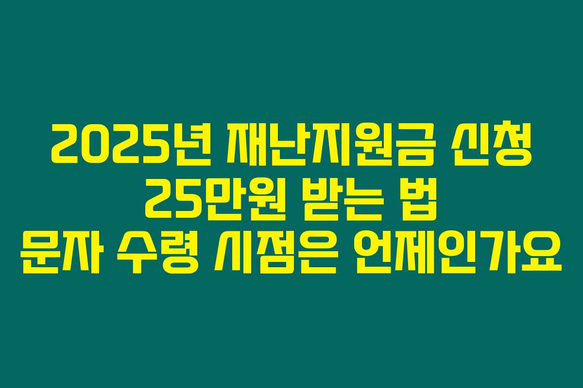 2025년 재난지원금 신청 25만원 받는 법 문자 수령 시점은 언제인가요