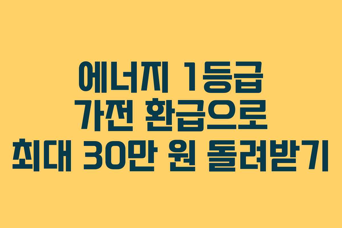에너지 1등급 가전 환급으로 최대 30만 원 돌려받기