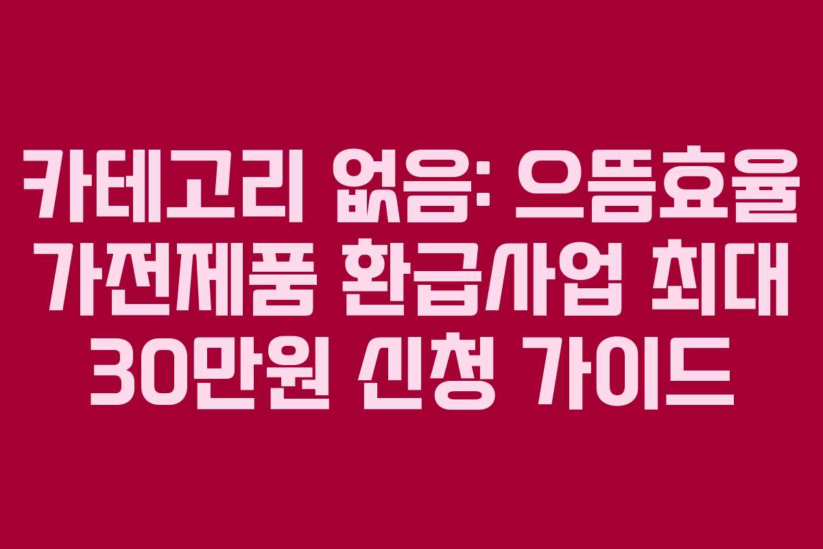 카테고리 없음: 으뜸효율 가전제품 환급사업 최대 30만원 신청 가이드