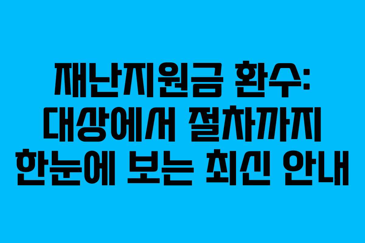 재난지원금 환수: 대상에서 절차까지 한눈에 보는 최신 안내