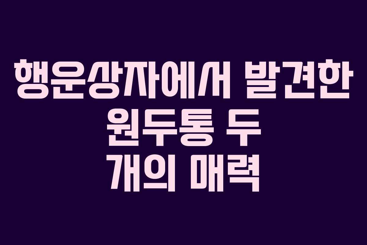 행운상자에서 발견한 원두통 두 개의 매력