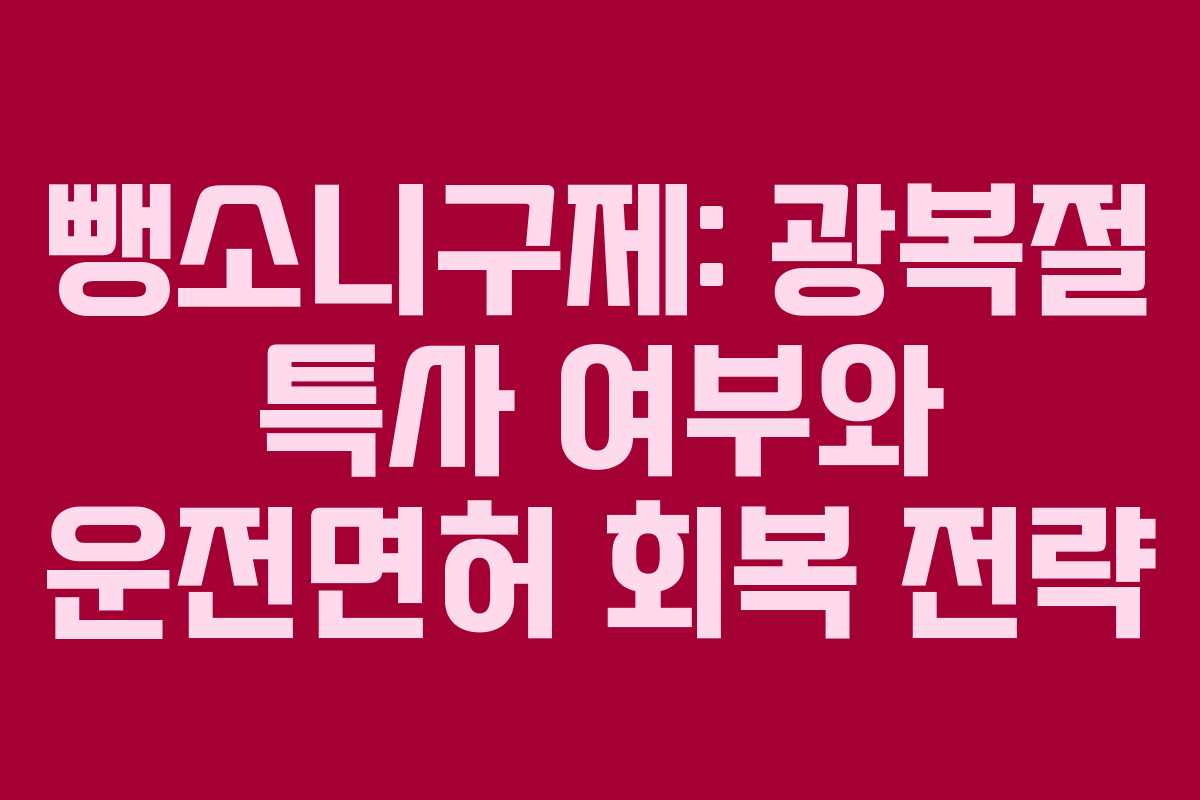 뺑소니구제: 광복절 특사 여부와 운전면허 회복 전략