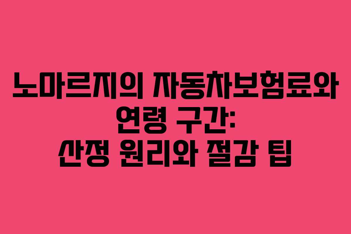 노마르지의 자동차보험료와 연령 구간: 산정 원리와 절감 팁