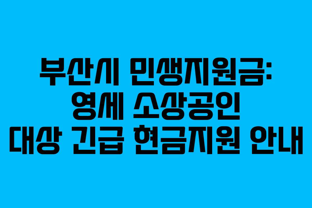 부산시 민생지원금: 영세 소상공인 대상 긴급 현금지원 안내