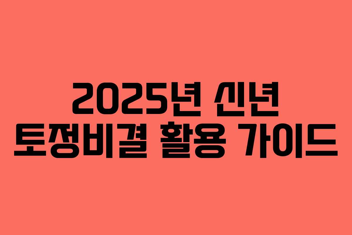 2025년 신년 토정비결 활용 가이드