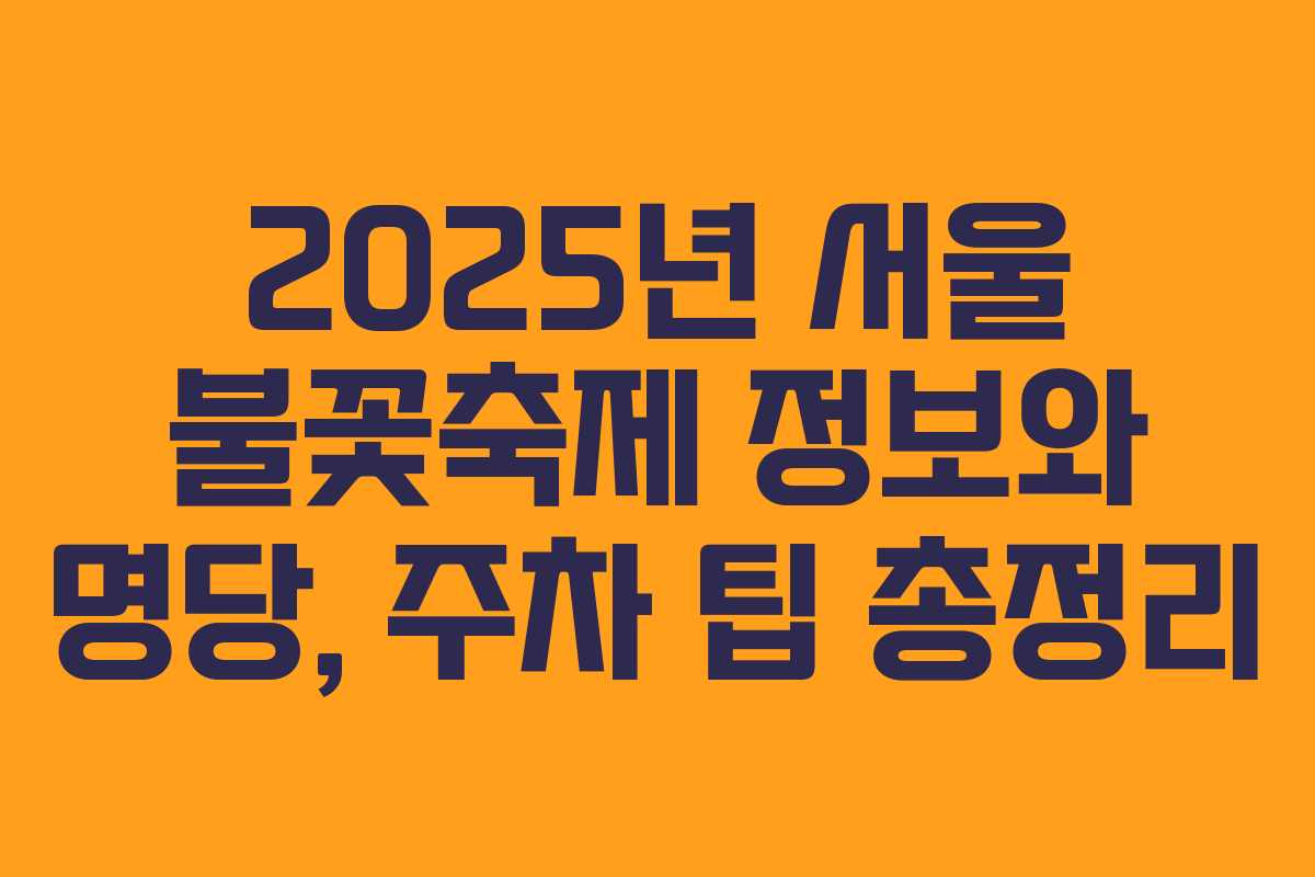 2025년 서울 불꽃축제 정보와 명당, 주차 팁 총정리