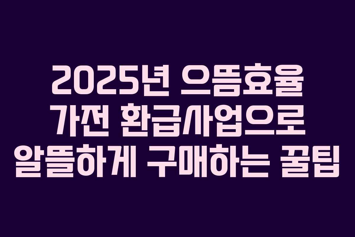 2025년 으뜸효율 가전 환급사업으로 알뜰하게 구매하는 꿀팁