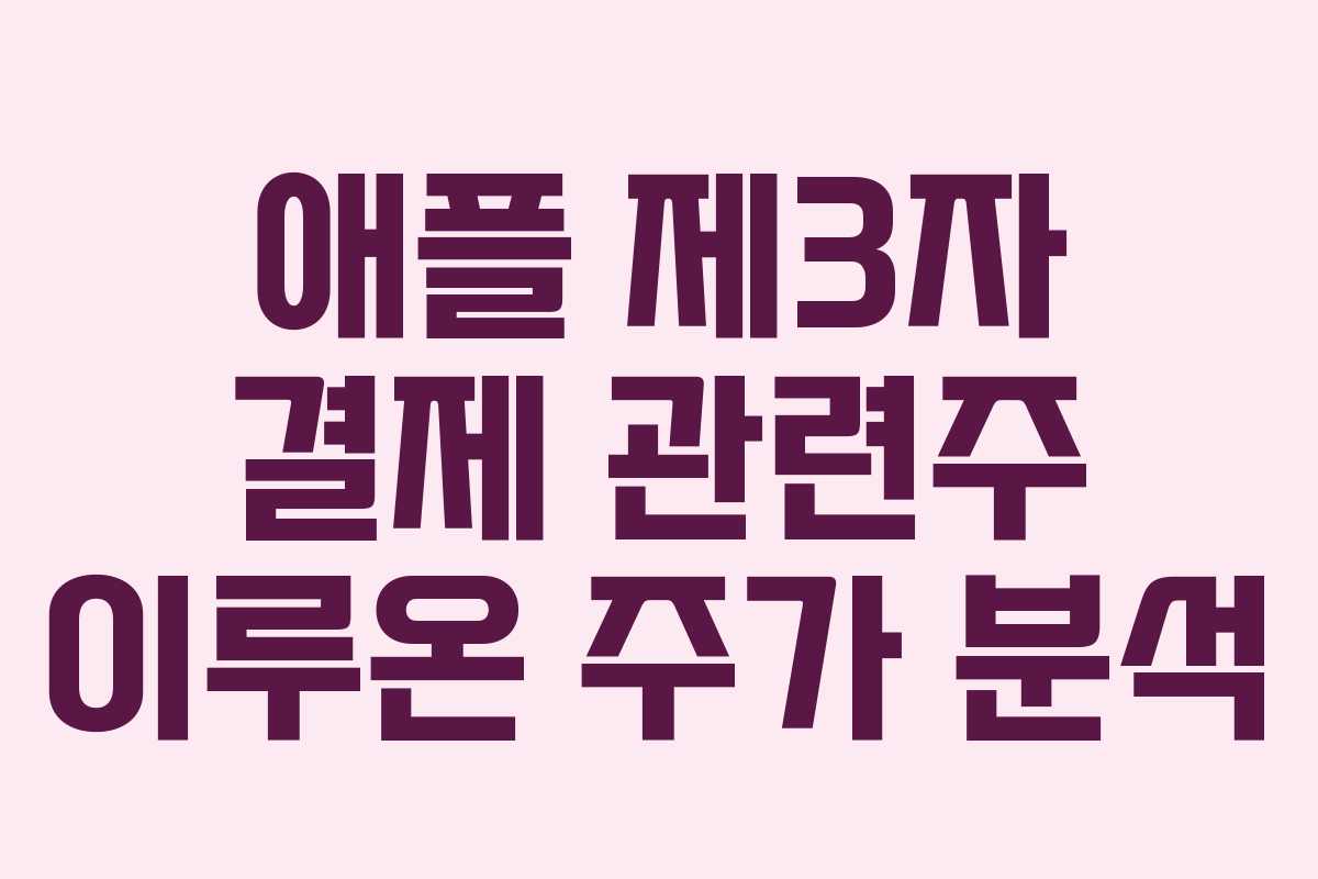 애플 제3자 결제 관련주 이루온 주가 분석