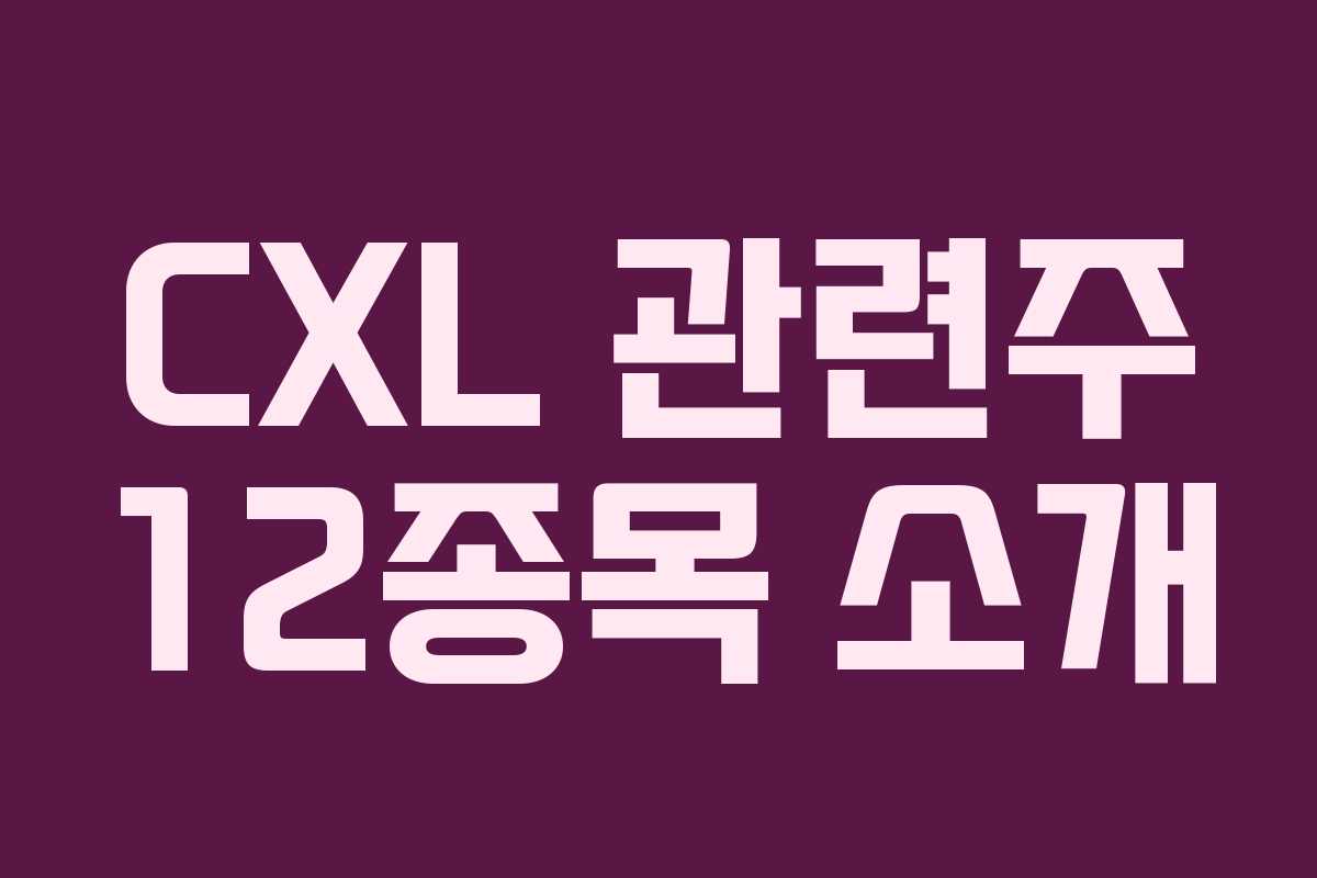 CXL 관련주 12종목 소개