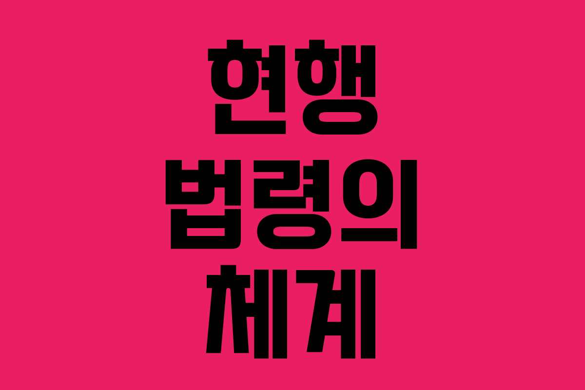 현행 법령의 체계