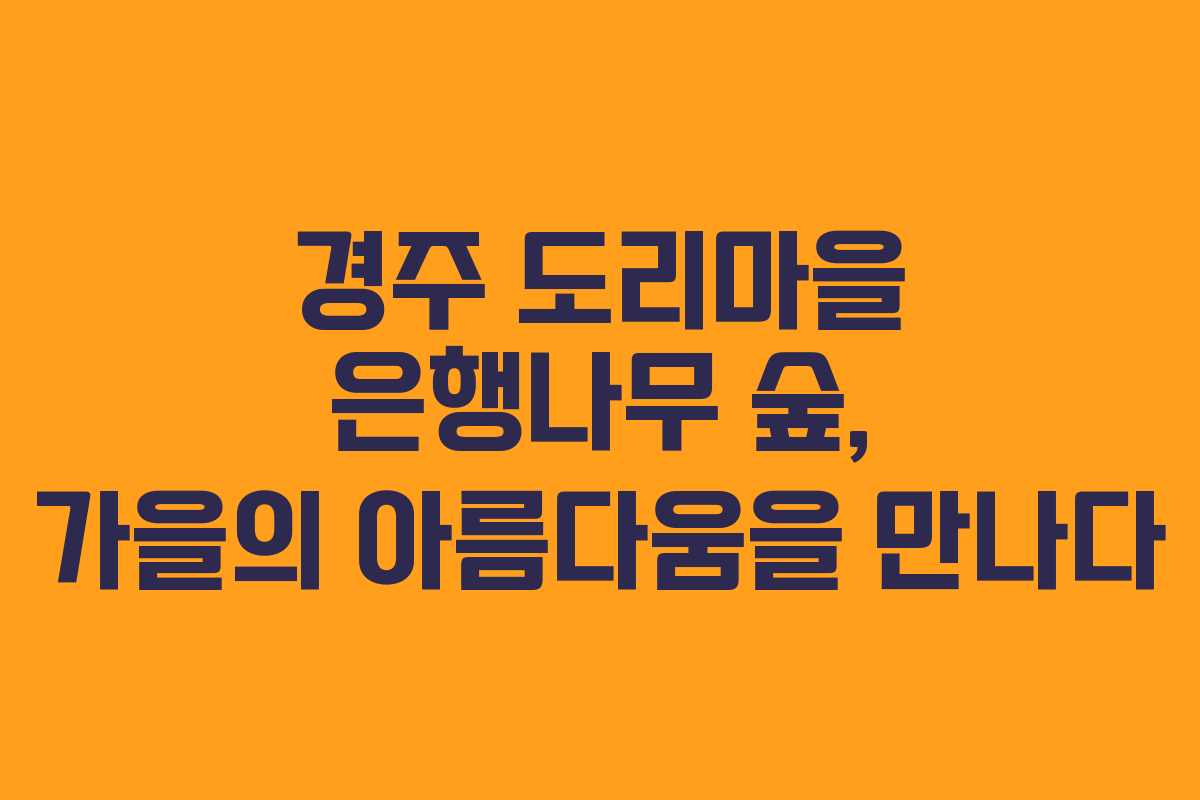 경주 도리마을 은행나무 숲, 가을의 아름다움을 만나다 경주 도리마을 은행나무 숲, 가을의 아름다움을 만나다