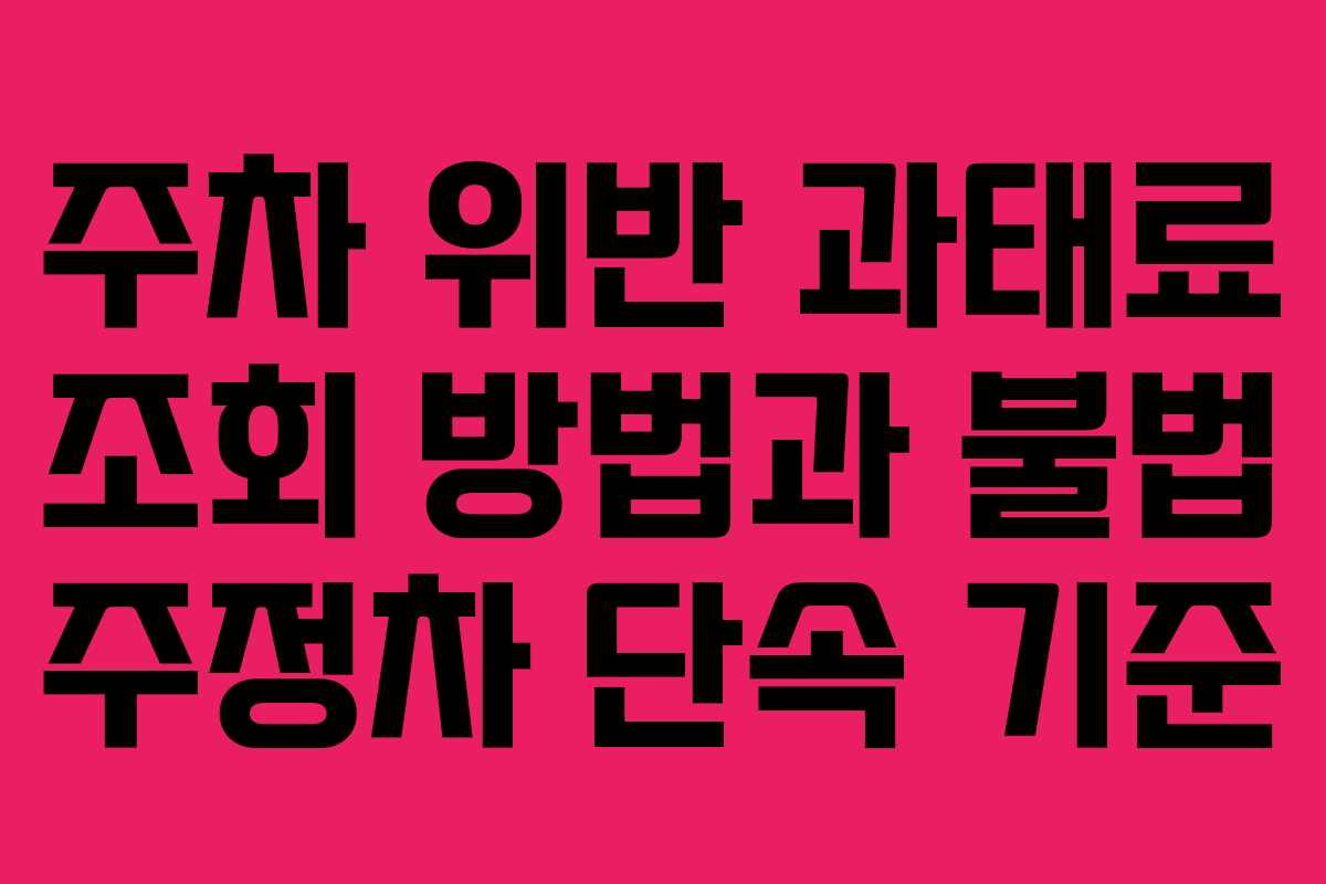 주차 위반 과태료 조회 방법과 불법 주정차 단속 기준