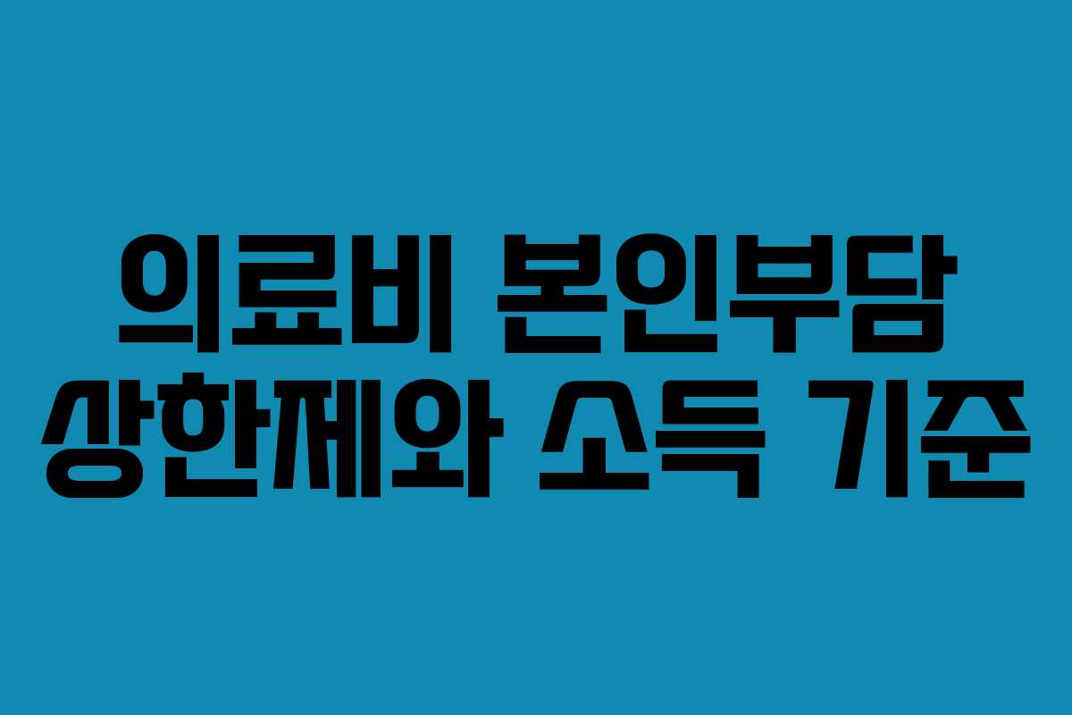 의료비 본인부담 상한제와 소득 기준