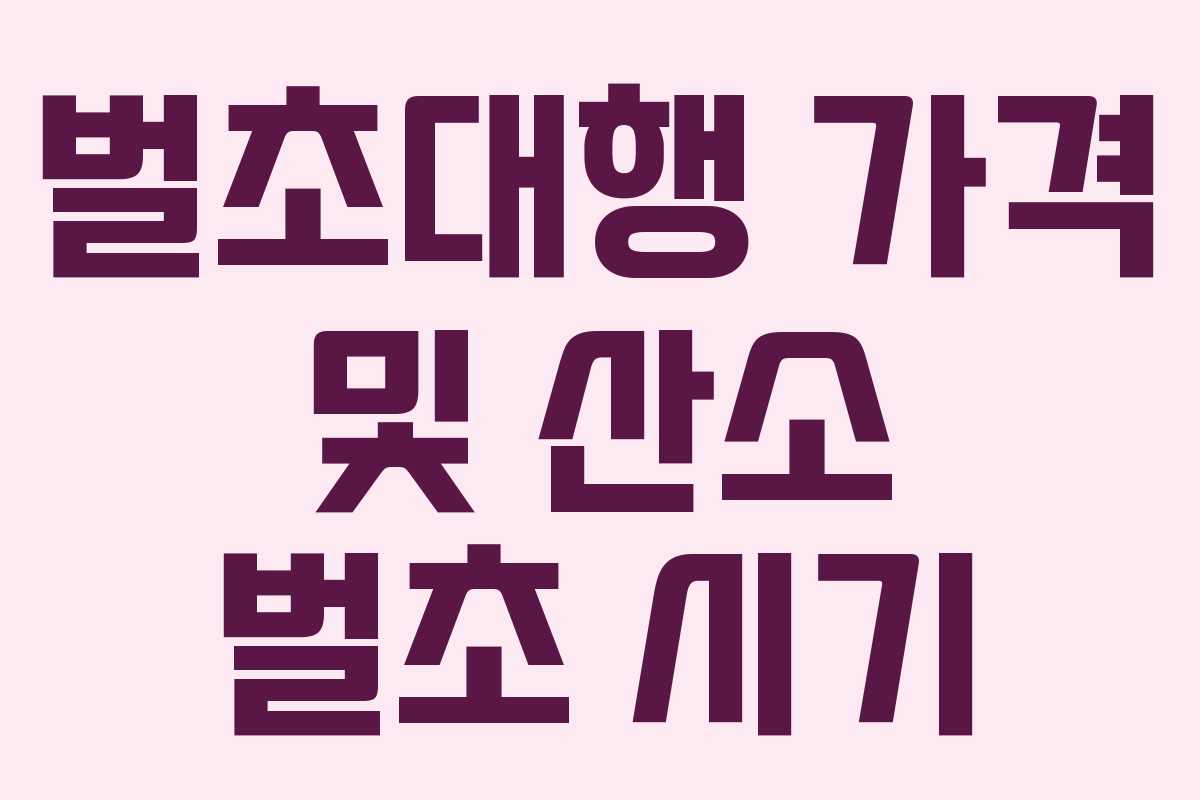 벌초대행 가격 및 산소 벌초 시기