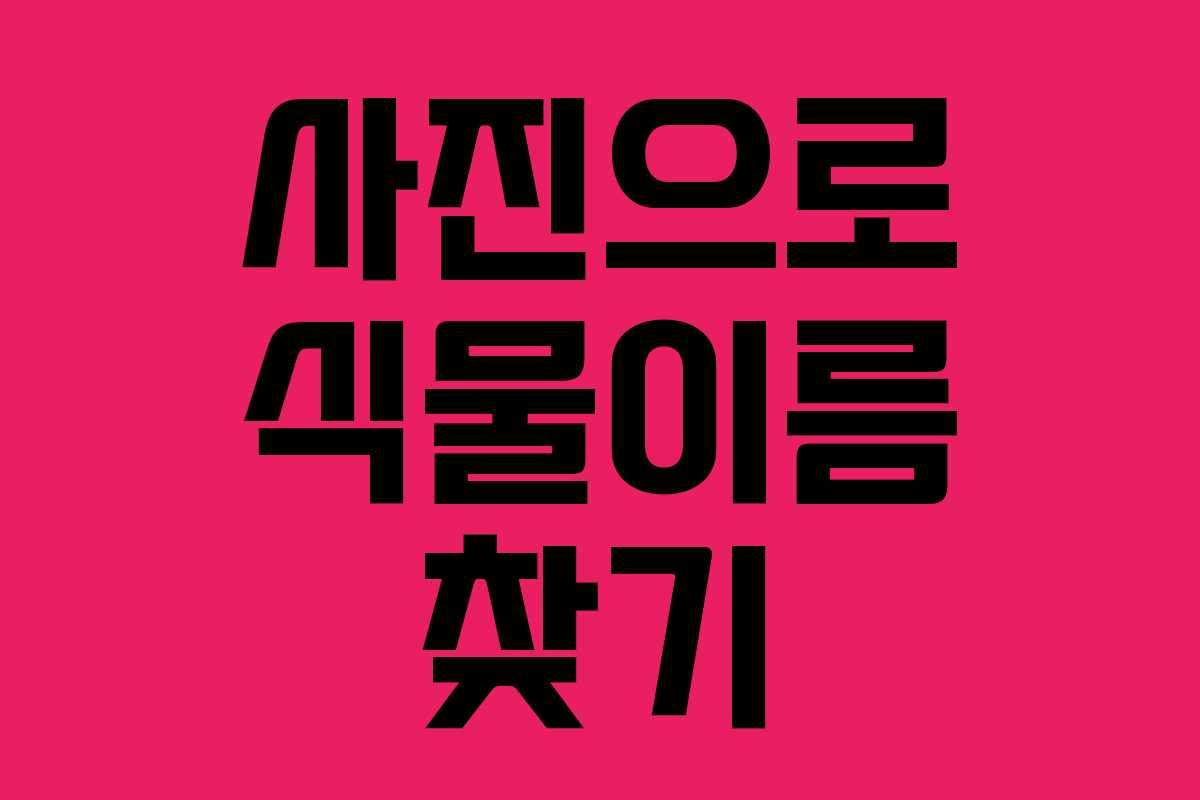 사진으로 식물이름 찾기 사진으로 식물이름 찾기