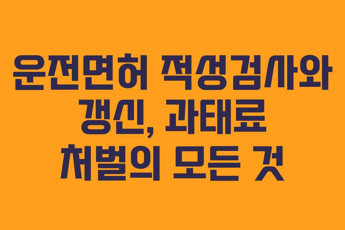 운전면허 적성검사와 갱신, 과태료 처벌의 모든 것