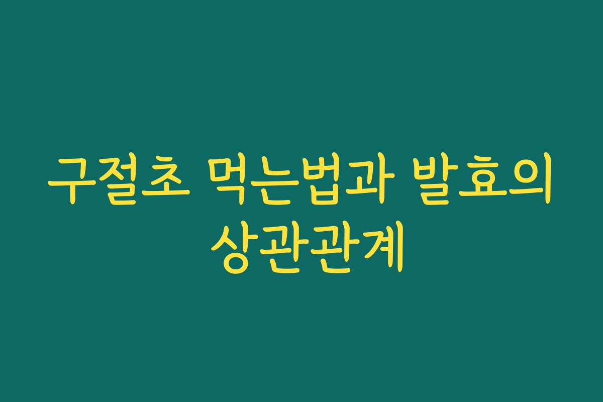 구절초 먹는법과 발효의 상관관계