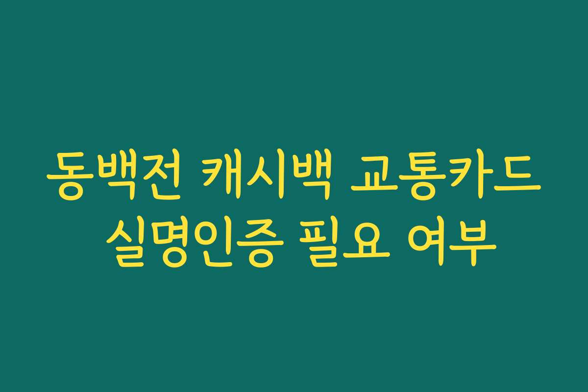 동백전 캐시백 교통카드 실명인증 필요 여부