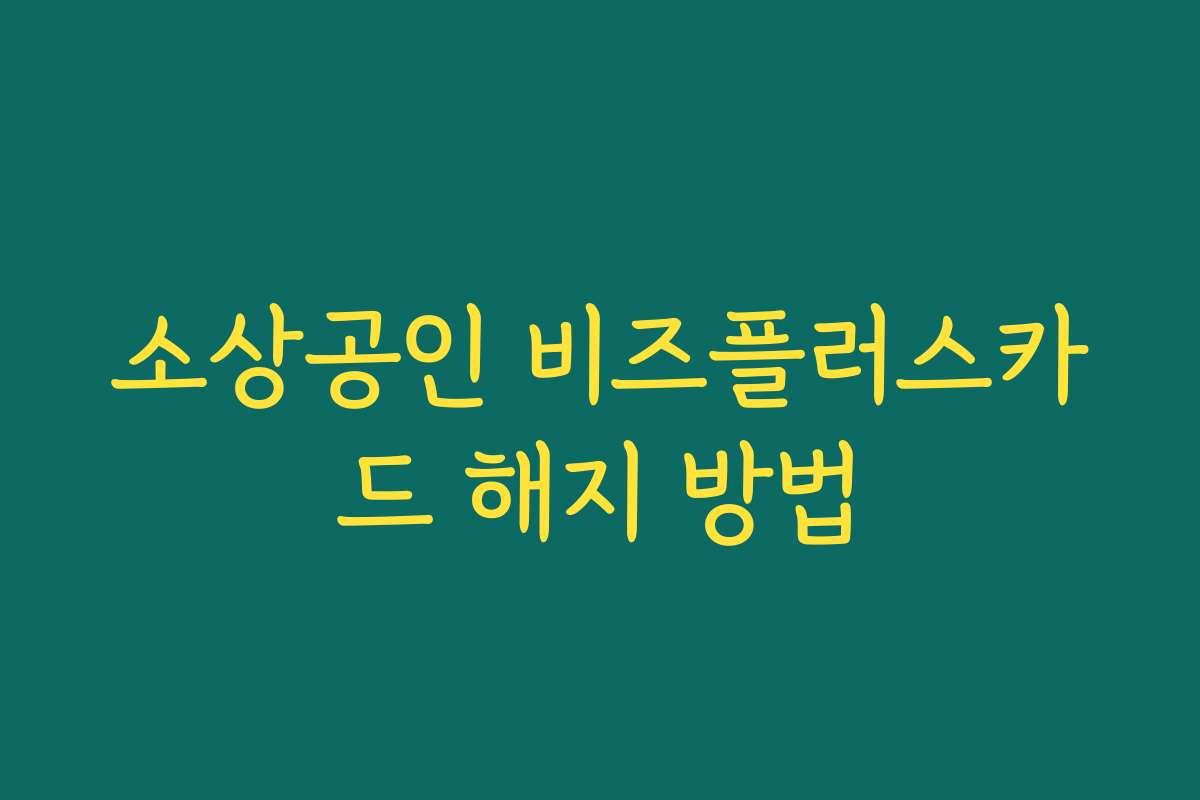 소상공인 비즈플러스카드 해지 방법