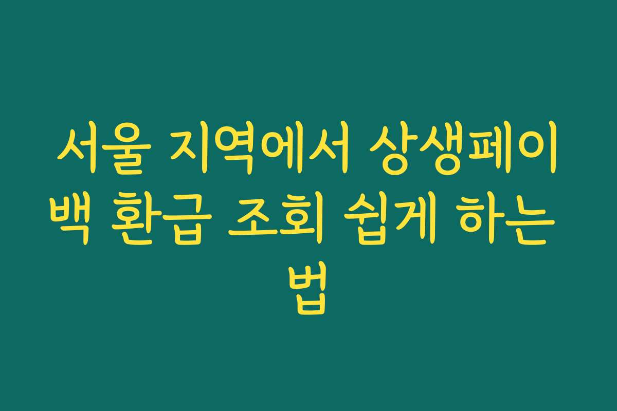 서울 지역에서 상생페이백 환급 조회 쉽게 하는 법