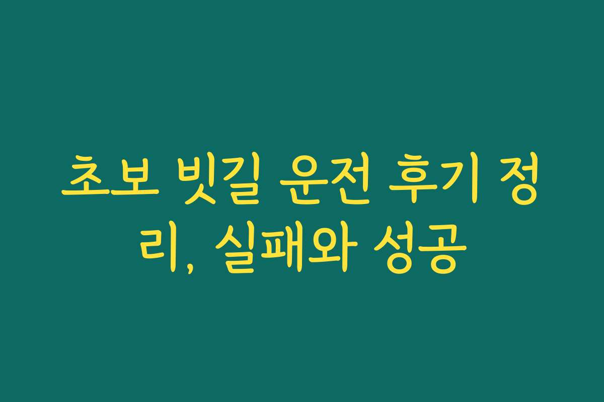 초보 빗길 운전 후기 정리, 실패와 성공