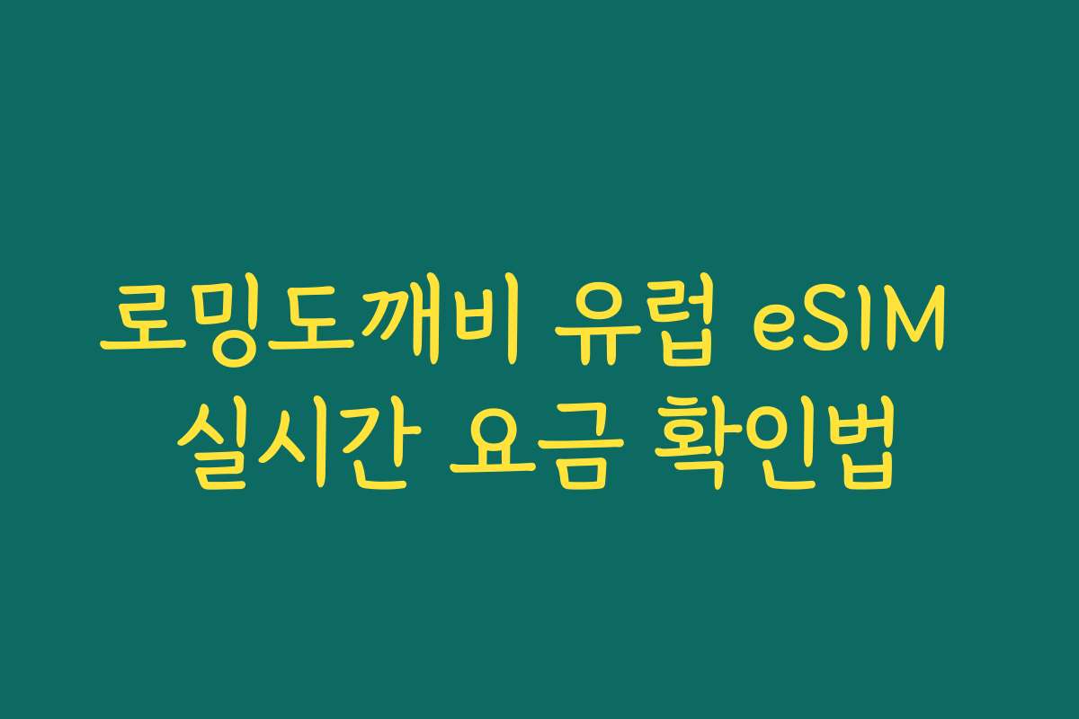 로밍도깨비 유럽 eSIM 실시간 요금 확인법