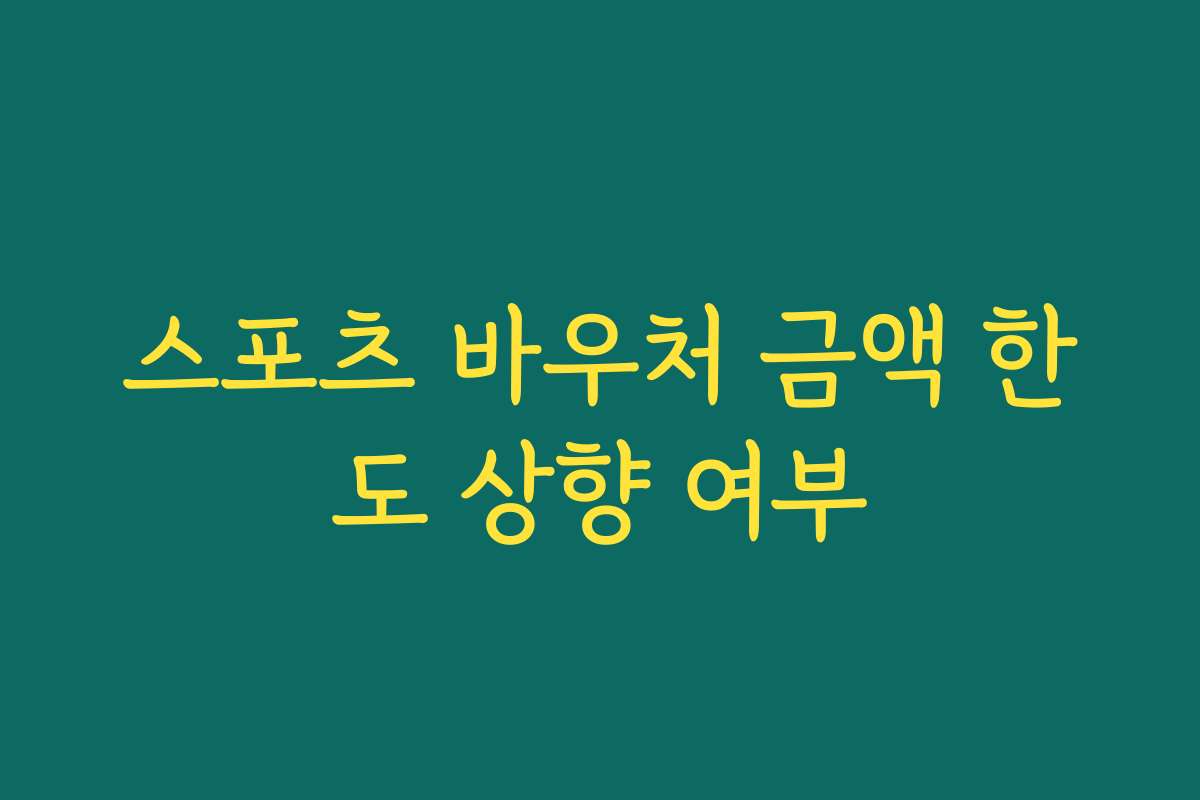 스포츠 바우처 금액 한도 상향 여부