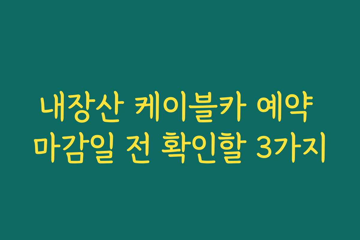 내장산 케이블카 예약 마감일 전 확인할 3가지
