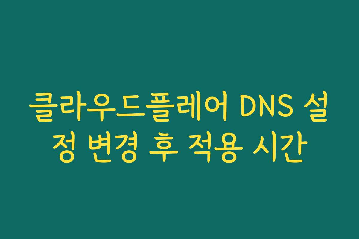 클라우드플레어 DNS 설정 변경 후 적용 시간